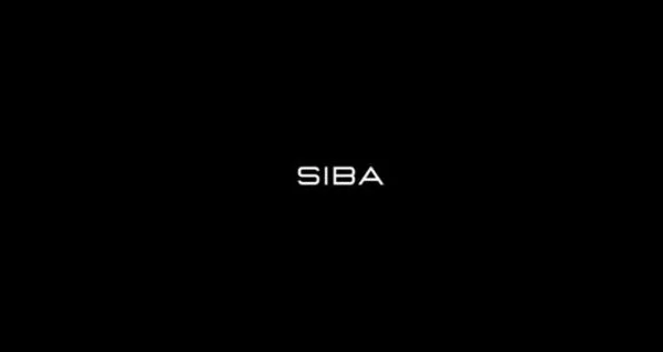 Salif Sibane - Siba Ecom Mastermind